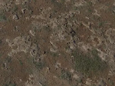 Rocky Dirt With Moss Texture Texture