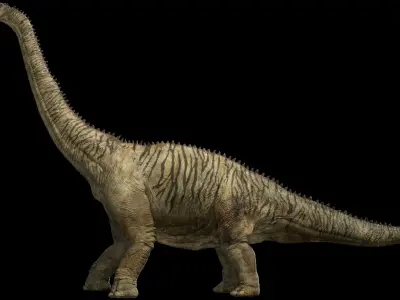  brontosaurus 3D (Rigged) 
