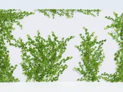 LowPoly Ivy wall Low-poly 3D model