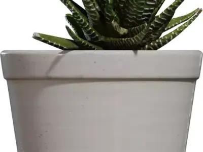 Game Ready Potted Succulent  Low-poly 3D model