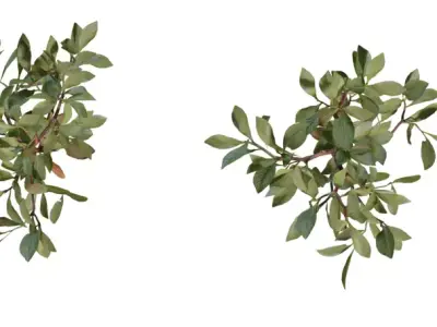 Photorealistic Shrub Branch Pack Low-poly 3D model