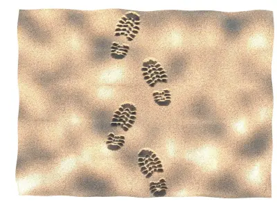 Shoeprints On The Sand 3D model