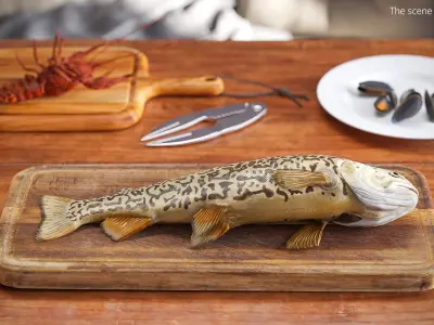  Tiger Trout Fish Lying Position 