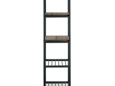 Wilhelmine Bookcase 3D model