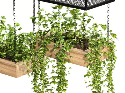 Hanging Plant 03 3D model