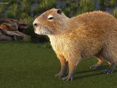  Capybara Fur Rigged 