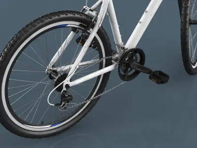  Mountain Bike Rigged 