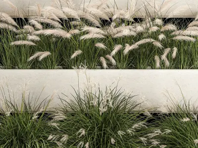 Bushes For Landscape Design Of Outdoor Flowerpots 1132 3D model