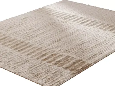 Salar Wool Rug 3D model