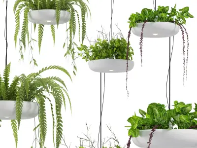  Indrid Decorative Plants White Light By Lightmakers Low-poly 3D model