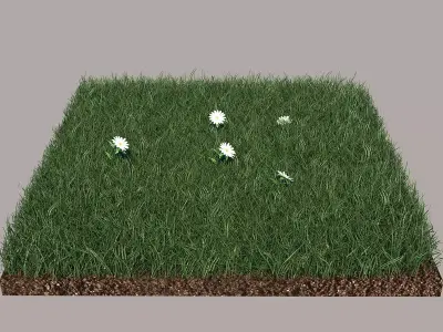 Grass daffodils in 3D model