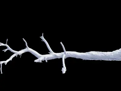 PBR 8K Pine Tree Fallen Dead Scan Big 3D model