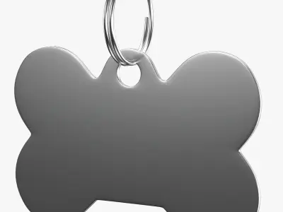 Dog Collar Tag 01 3D model