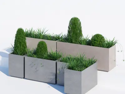 California one 3D model