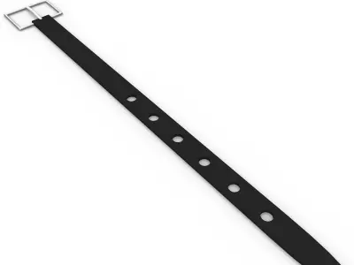 Belts 3D model