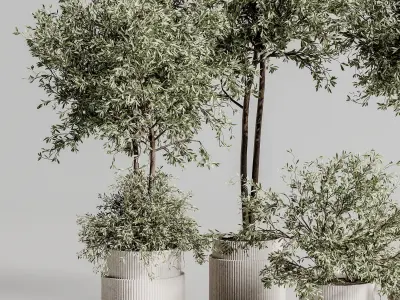 Indoor Plant Set 88 3D model