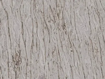 Organic White Swirl Wood Grain PBR Texture