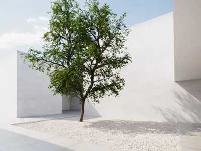 Large forest tree 3D model