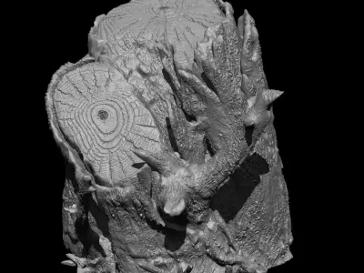 Tree Stump - High Poly Sculpt 3D model