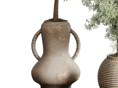 Olive tree in an old earthenware vase indoor collection 202 3D model