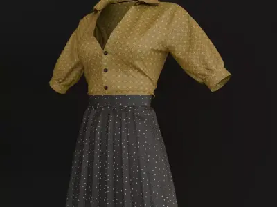 Female Skirt and Shirt 3D model
