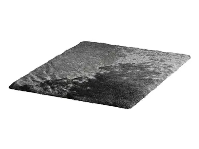 Gray short pile rug 3D model