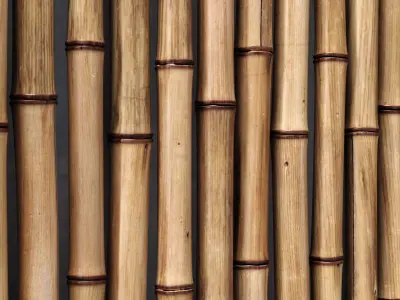 Bamboo decor frame 3D model