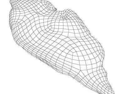 Steak pork loin Low-poly 3D model