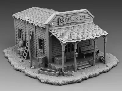 Antique Shop 3D print model