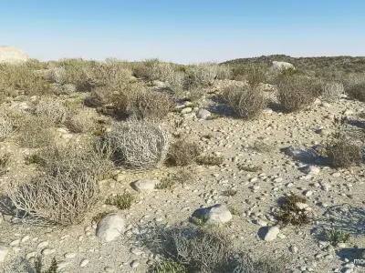  Desert Landscape 6 3D model