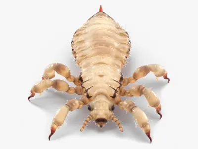  Parasites Collection 