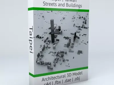 Taipei City Streets and Buildings 3D model