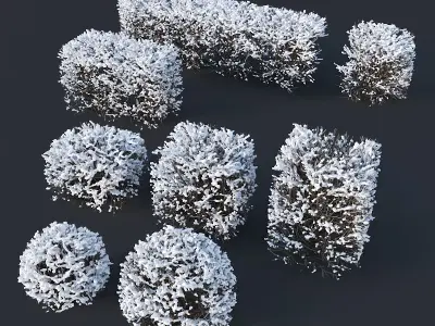 Cotoneaster lucidus Nr7 winter hedge set 3D model