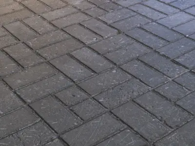 Photogrammetry materials pack Free 3D model