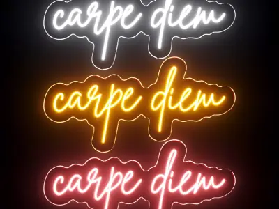 Carpe Diem Neon  3D model