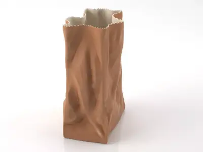 Bag Vase 3D model