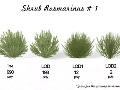 Shrub Rosmarinus 1 Low-poly 3D model