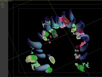 coral cartoon 3D model