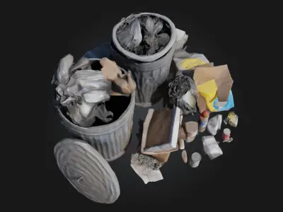 Garbage Overflow  Chaos in the Urban Corners 3D model