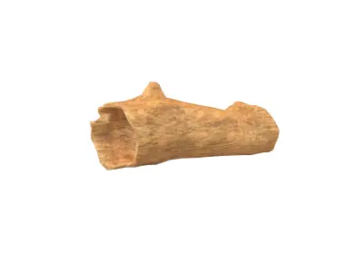 Fallen Tree Trunk v1 003 Low-poly 3D model