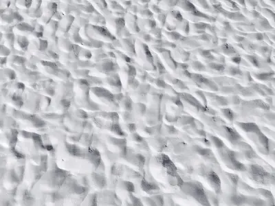 Beach sand Scan 3D model