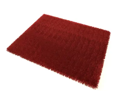Carpet fur 3D model