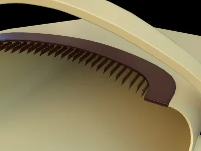 Broom 3d model two brooms and dustpan Low-poly 3D model