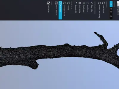 Tree Trunk 9 3D scan 3x16k - 2x8k Textures Blender Maya 3Ds-Max Low-poly 3D model