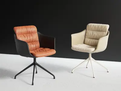 DS 525 02 Tosca Armchair 3D model