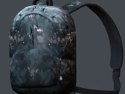 Backpack Camping Generic military human bag storqge baggage 3D model