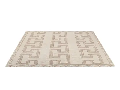 ANIKET JUTE RUG 3D model