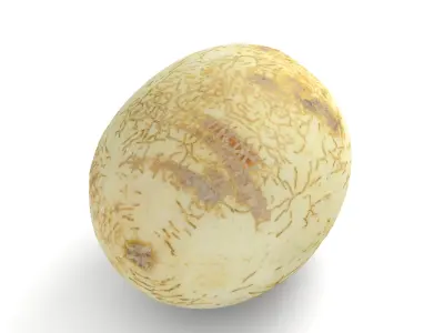 Honeydew Sunlady Melon - Photorealistic Scan Low-poly 3D model