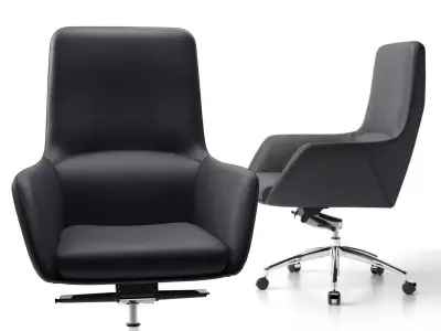 Darwin Swivel Medium 3D model