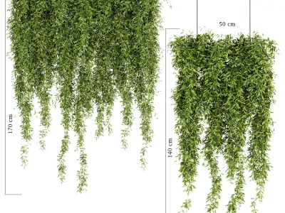 Indoor Plants -  21  hanging plants in pots 3D model
